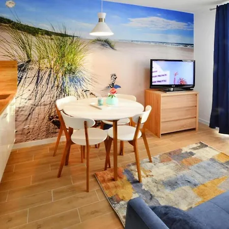Comfortable Apartment, Apartment