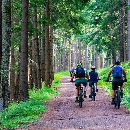 In Ko Obrzeg Near Baltic Appartement Kołobrzeg