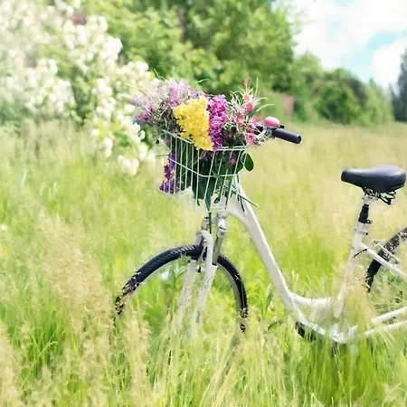 In Ko Obrzeg Near Baltic * كولوبرزيغ